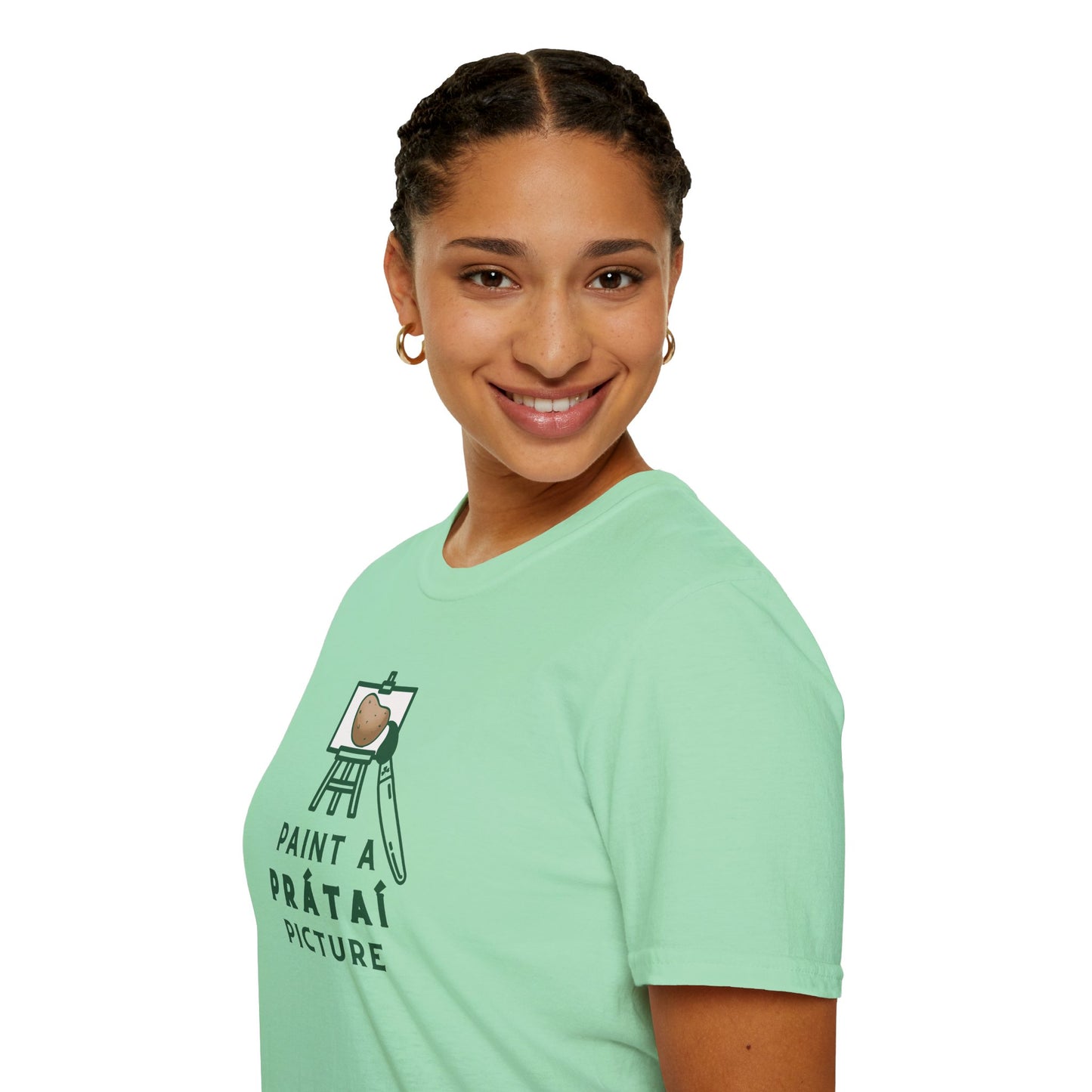 PAINT A PRÁTAÍ PICTURE Unisex Softstyle 100% Cotton T-Shirt